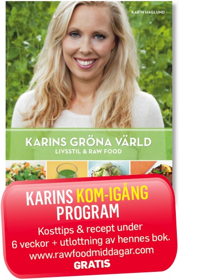 Karin Haglund Kom igång program 400