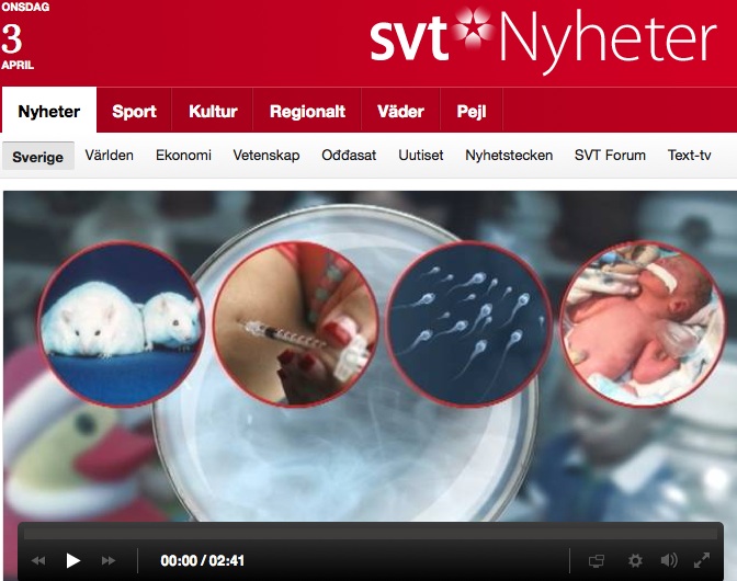 SVT nyheter