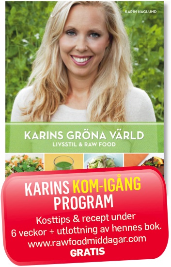 Karin Haglund Kom igång program